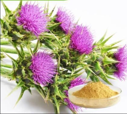 Milk Thistle Powder (200g)
